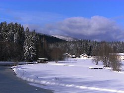 Winter im Bayerischen Wald - Die Höhepunkte